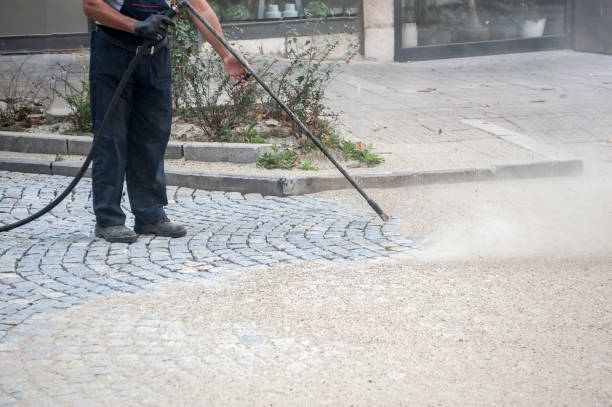 Best Gutter Cleaning  in Keokea, HI